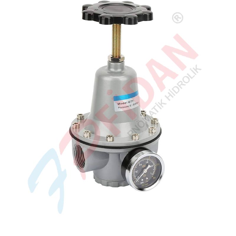 EXPFLEX QTY-50 2 ” PNÖMATİK BASINÇ REGÜLATÖR