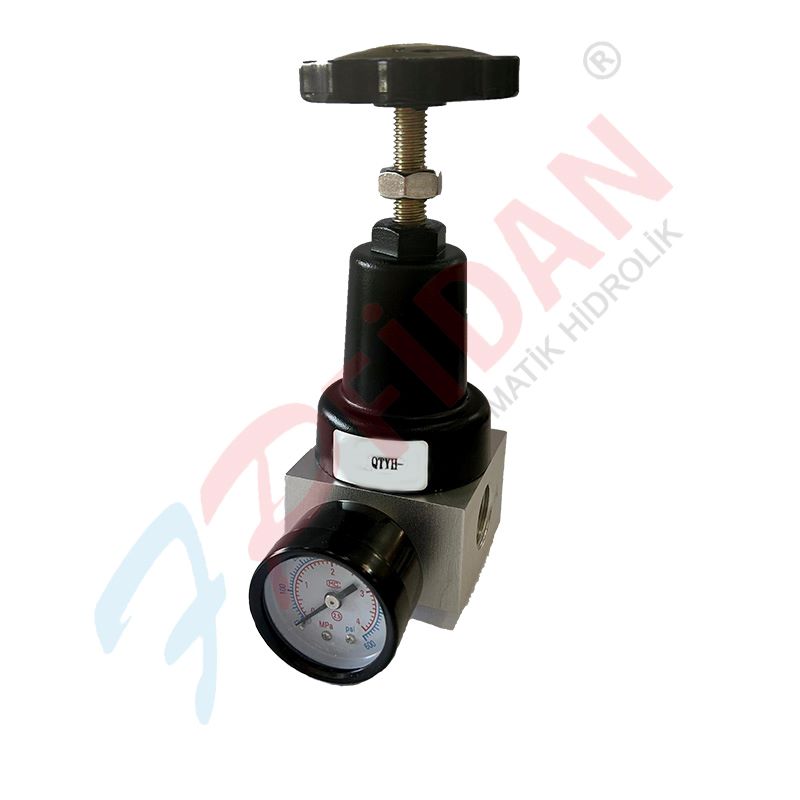 EXPFLEX QTYH-25 1 ” PNÖMATİK BASINÇ REGÜLATÖR