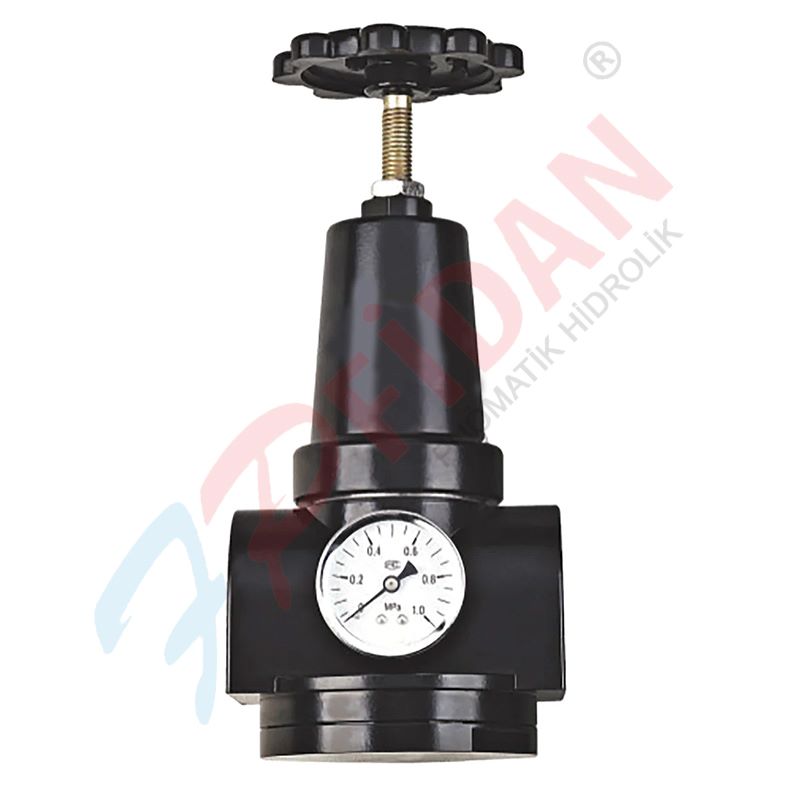 EXPFLEX AR900-15 1 1/2” PNÖMATİK BASINÇ REGÜLATÖR