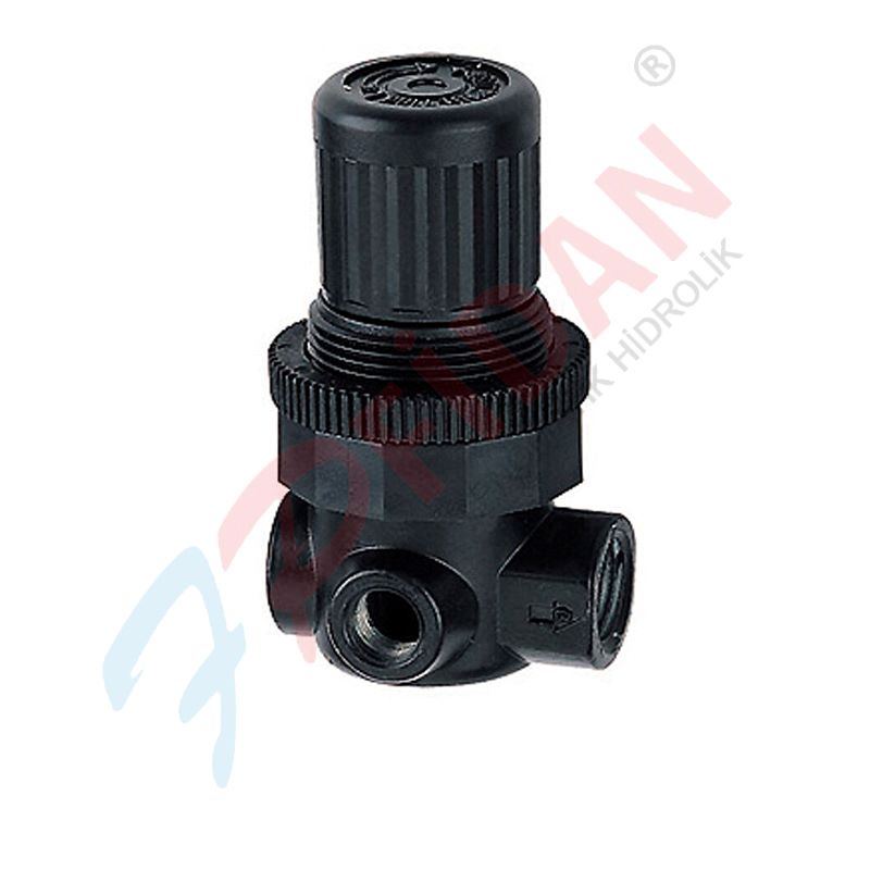 EXPFLEX NAR200-2 1/4” PNÖMATİK BASINÇ REGÜLATÖR