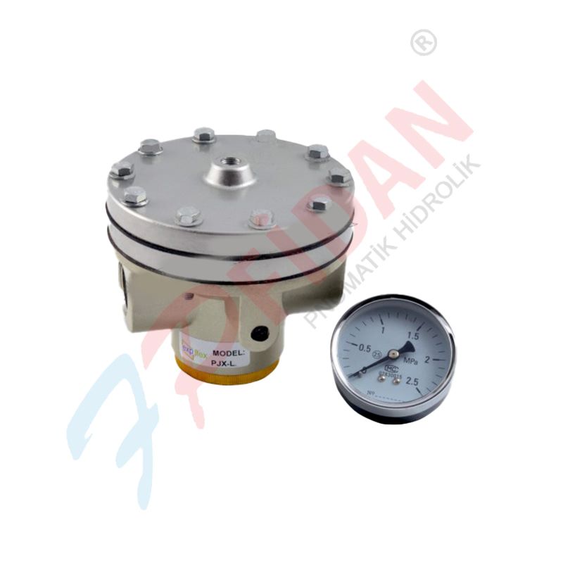 EXPFLEX PJX-L 50 2 ” PNÖMATİK PİLOT UYARILI  BASINÇ REGÜLATÖR